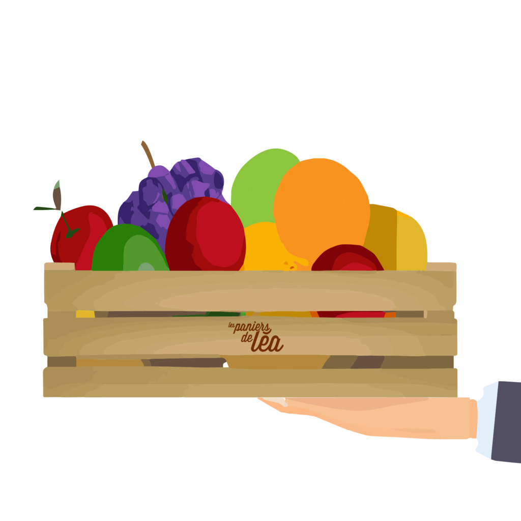 dessin corbeilles de fruits